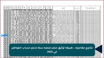 نتائج مفاجئة.. طريقة توثيق متجر منصة سلة لدعم حساب المواطن في 2025